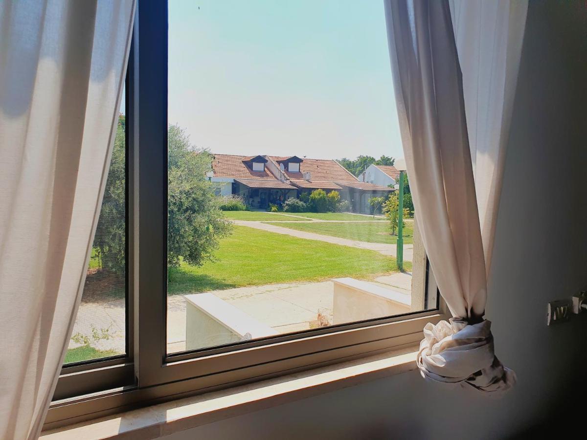 Gilboa View - יחידת אירוח מתוקה Apartment Reshafim Ngoại thất bức ảnh